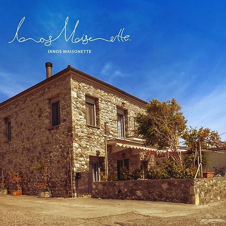 Ianos Maisonette Paralia Sergoulas المظهر الخارجي الصورة